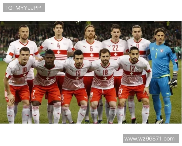 匈牙利现役足球球星赛场风采与国家队未来发展展望 匈牙利现役足球球星赛场风采与国家队未来发展展望