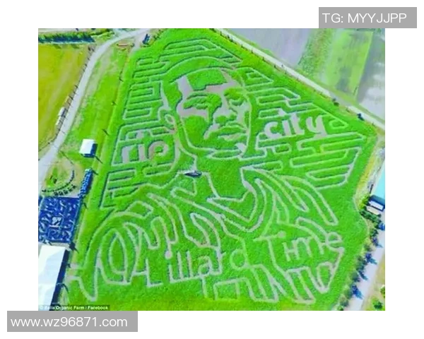 模仿美国足球明星的球员如何打造个人特色与突破传统界限