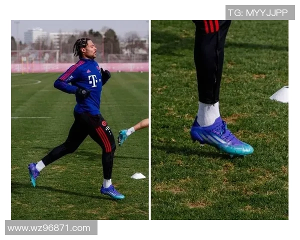 球星脚长与足球配合分析:影响踢球表现与鞋款选择的关键因素 球星脚长与足球配合分析:影响踢球表现与鞋款选择的关键因素